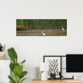 Reigers in het Marsh Poster (Thuiskantoor)