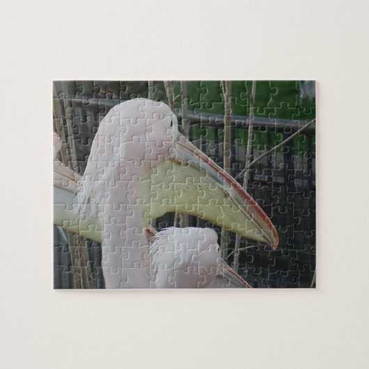 Reigers Legpuzzel (Horizontaal)