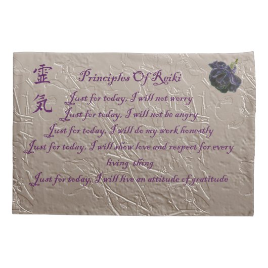 Reiki-beginselen voor vandaag kussensloop (Achterkant)