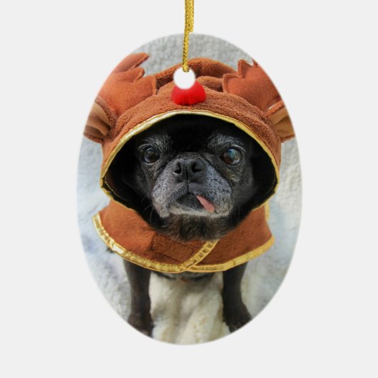 Rein-pug Ornament (Voorkant)