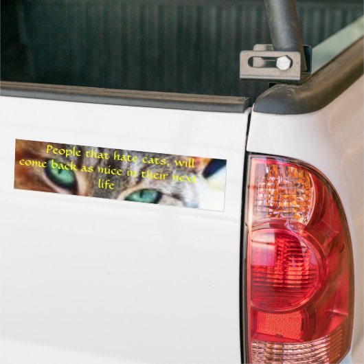 reïncarnatie...? bumpersticker (Op Truck)