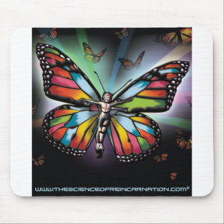 Reïncarnatie Muismat