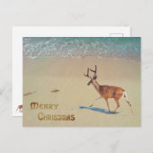 Reindedarmen op het strandsurroop kerst briefkaart (Voorkant / Achterkant)
