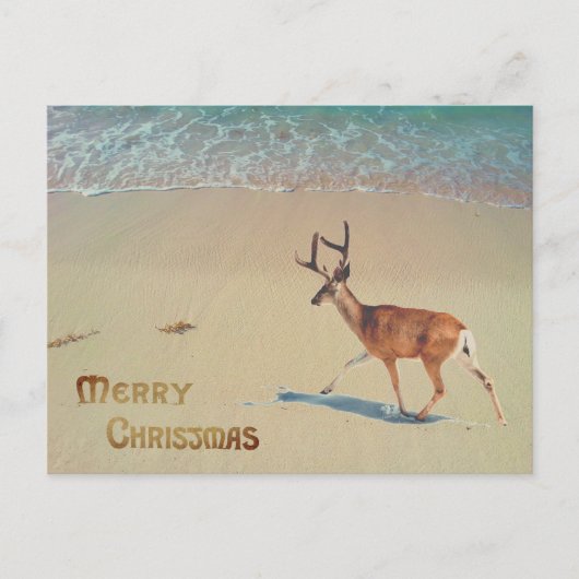 Reindedarmen op het strandsurroop kerst briefkaart (Voorkant)