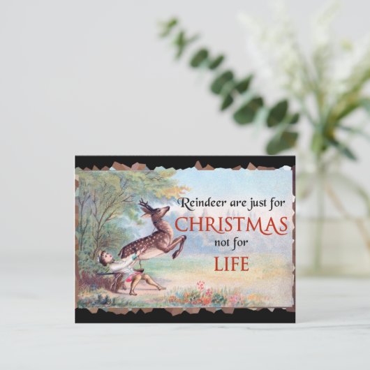 Reindedarmen zijn alleen maar voor de kerst. briefkaart (Staand voorkant)
