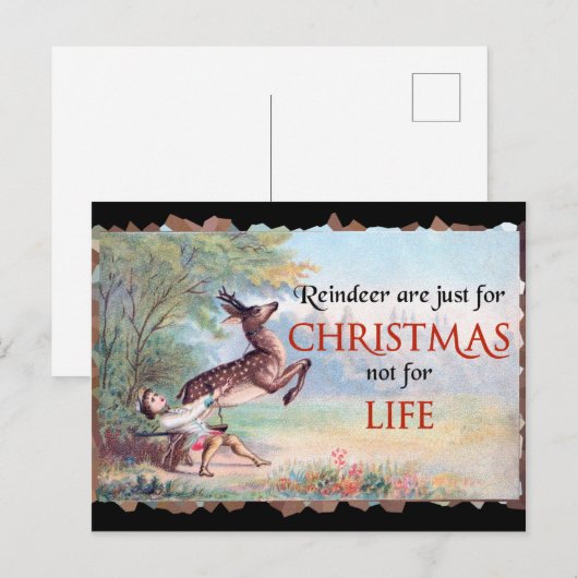 Reindedarmen zijn alleen maar voor de  kerst. briefkaart (Voorkant / Achterkant)