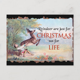 Reindedarmen zijn alleen maar voor de  kerst. briefkaart