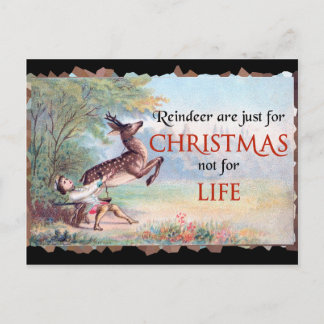 Reindedarmen zijn alleen maar voor de  kerst. briefkaart