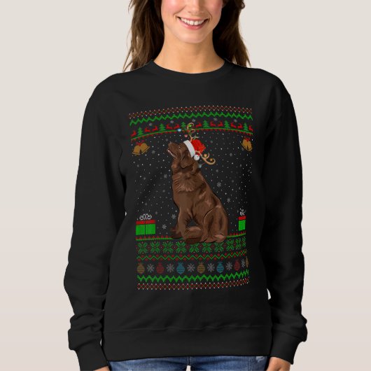 Reindedarren Santa Hat Matching Ugly Newfoundland Trui (Voorkant)