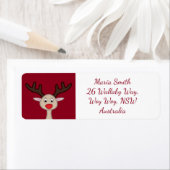 Reindedartekenfilm Etiket (Insitu)