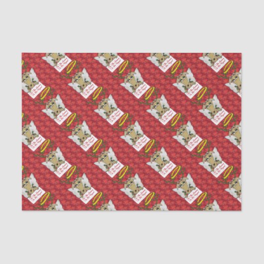 Reindeer Angel is het seizoen van de Vegan Tissuepapier (Voorkant)