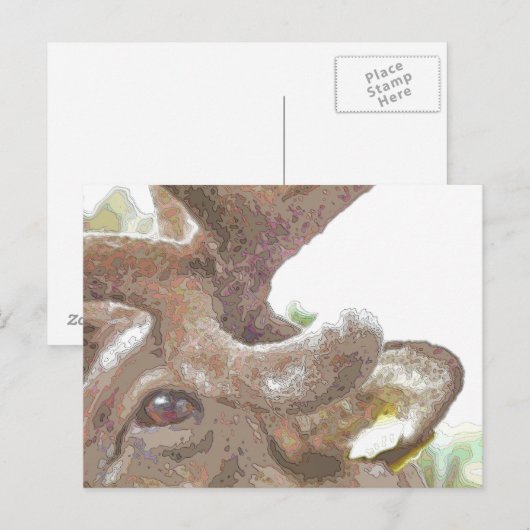 REINDEER BRIEFKAART (Voorkant / Achterkant)