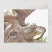 REINDEER BRIEFKAART (Voorkant)