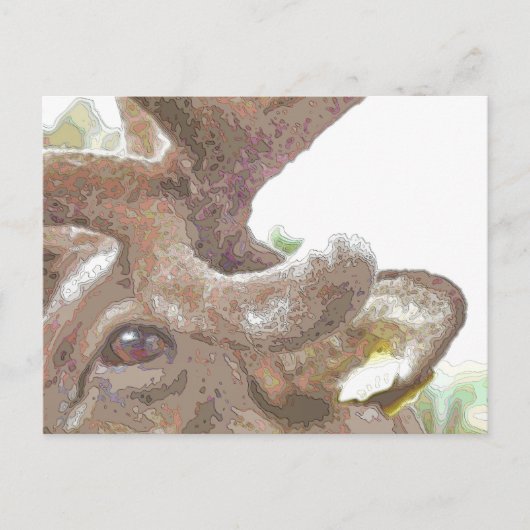 REINDEER BRIEFKAART (Voorkant)