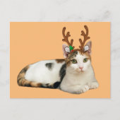 Reindeer Cleopatra Feestdagenkaart (Voorkant)