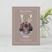 Reindeer Ears Pet Holiday Fotokaart Feestdagenkaart