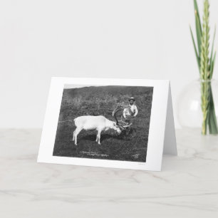 Reindeer & Eskimo Alaska 1920 Feestdagen Kaart