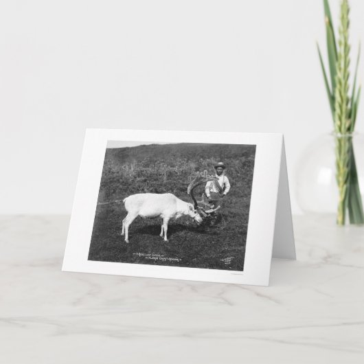 Reindeer & Eskimo Alaska 1920 Feestdagen Kaart (Voorkant)