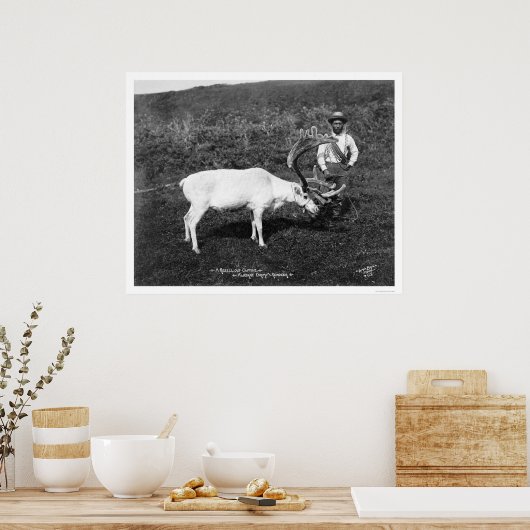 Reindeer & Eskimo Alaska 1920 Poster (Keuken)