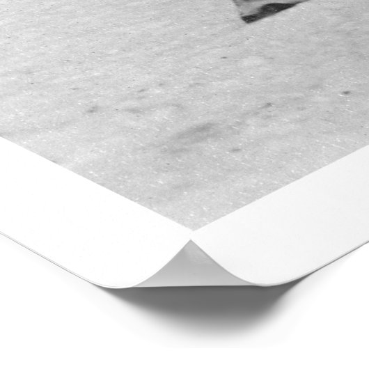 Reindeer Herd Alaska 1909 Poster (Hoek)