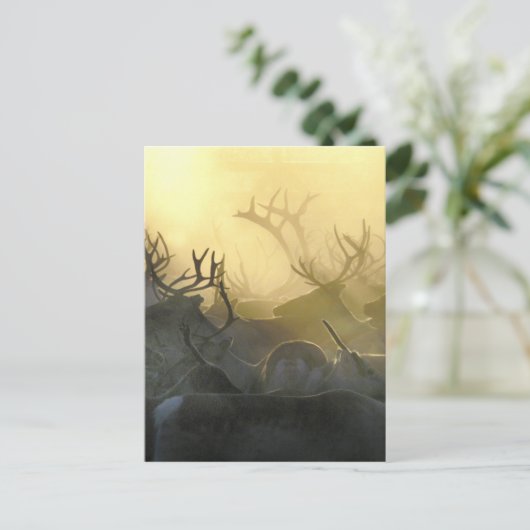 Reindeer Herd Briefkaart (Staand voorkant)
