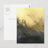 Reindeer Herd Briefkaart (Voorkant / Achterkant)