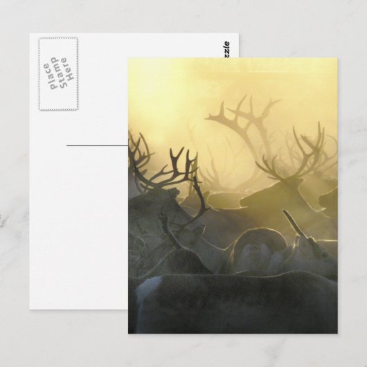 Reindeer Herd Briefkaart (Voorkant / Achterkant)