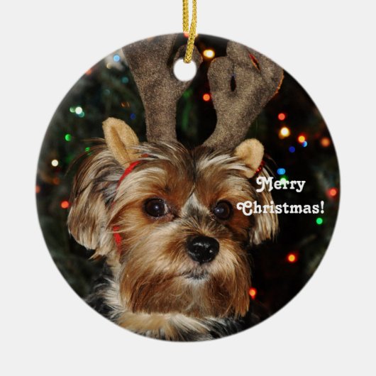 Reindeer Horns Yorkshire Terrier, vrolijk kerstfee Keramisch Ornament (Voorkant)