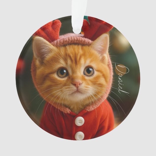 Reindeer Kitten Ornament (voorkant)