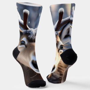 Reindeer Magic: Close-up van de loyale metgezel va Sokken