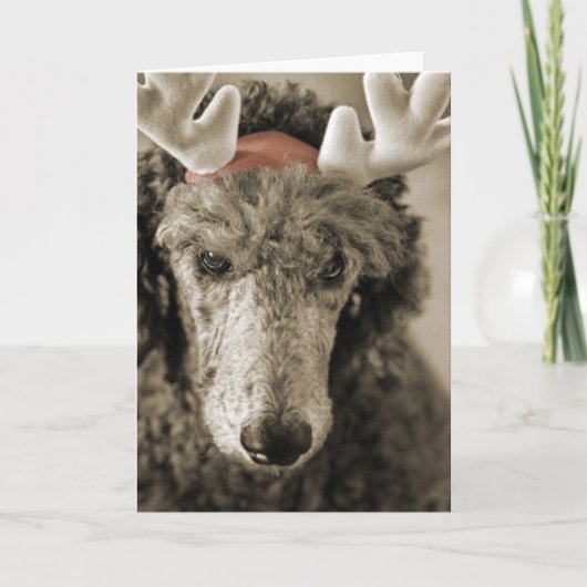 Reindoodle Holiday Kaart III (Voorkant)
