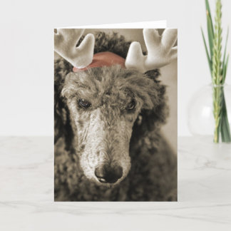 Reindoodle Holiday Kaart III
