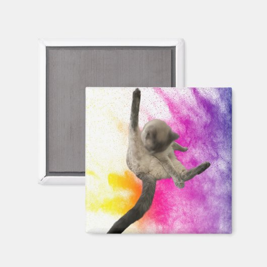 Reinigen Magneet (Voorkant / Achterkant)