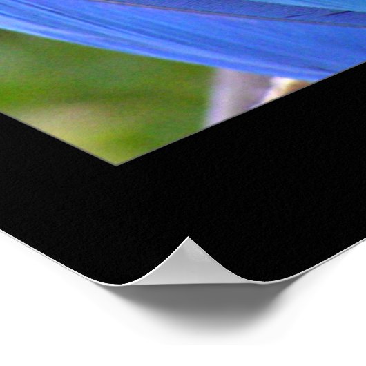 Reiniging Poster (Hoek)