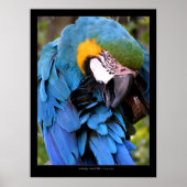 Reiniging Poster (Voorkant)