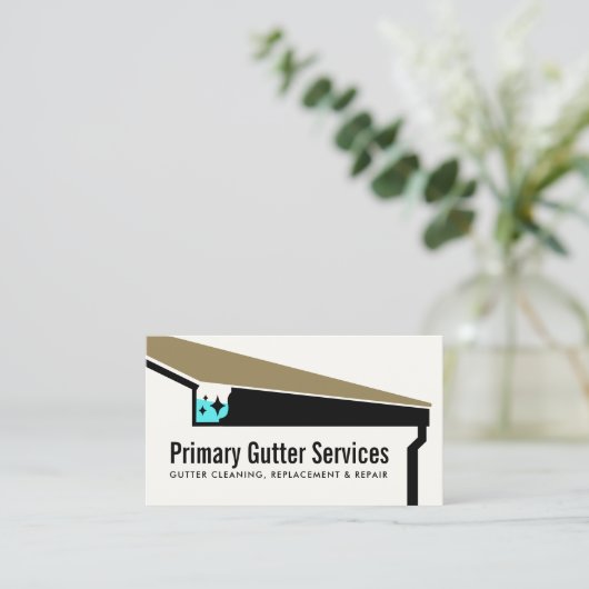 Reiniging van de goot, reparatie en vervanging visitekaartje (Staand voorkant)