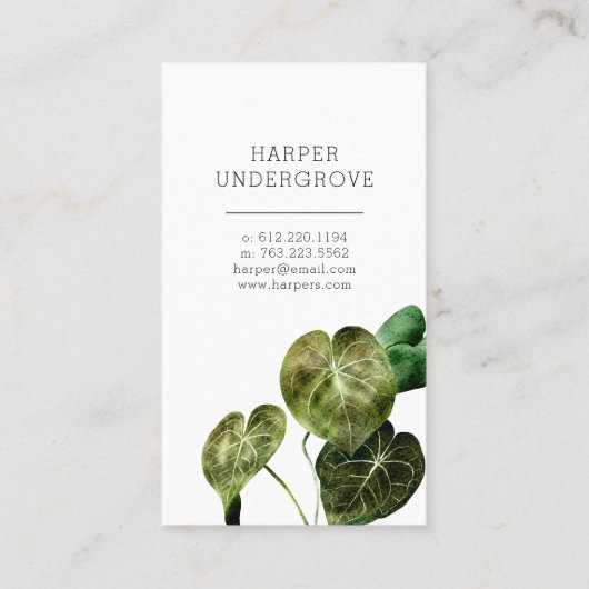 Reiniging van huishoudapparaten visitekaartje (Achterkant)