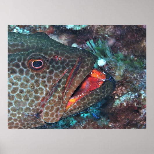 Reinigingsservice Poster (Voorkant)