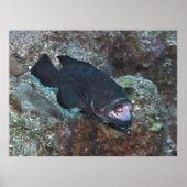 Reinigingsstation Poster (Voorkant)