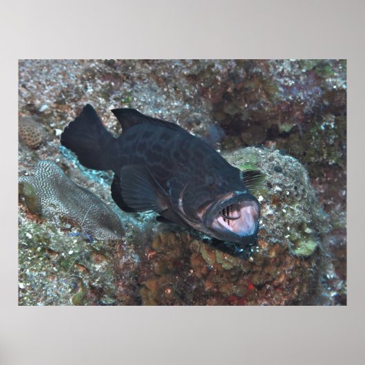 Reinigingsstation Poster (Voorkant)