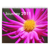Reis 2011 kalender (Hoes)