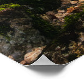 Reis door het magische bos poster (Hoek)