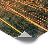 Reis | Florida - Anastasia State Park Zee Haver Poster (Hoek)