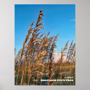 Reis Florida - Anastasia State Park Zee Haver Poster