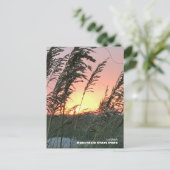 Reis | Florida - Anastasia Zee Oat Sunset Briefkaart (Staand voorkant)
