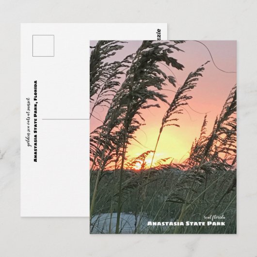 Reis | Florida - Anastasia Zee Oat Sunset Briefkaart (Voorkant / Achterkant)
