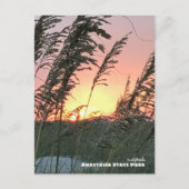 Reis | Florida - Anastasia Zee Oat Sunset Briefkaart (Voorkant)
