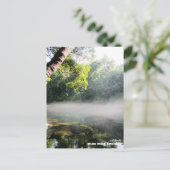 Reis | Florida - Blue Hole Springs Foggy Morning Briefkaart (Staand voorkant)