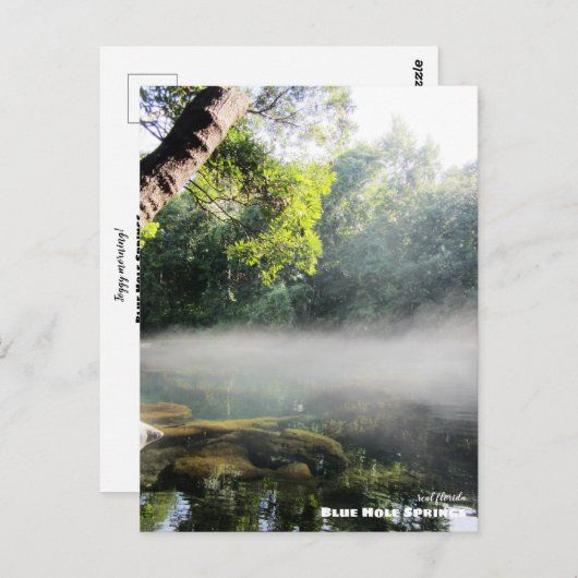 Reis | Florida - Blue Hole Springs Foggy Morning Briefkaart (Voorkant / Achterkant)