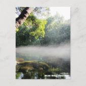 Reis | Florida - Blue Hole Springs Foggy Morning Briefkaart (Voorkant)